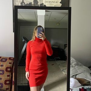 Wild Fable Turtleneck Dress